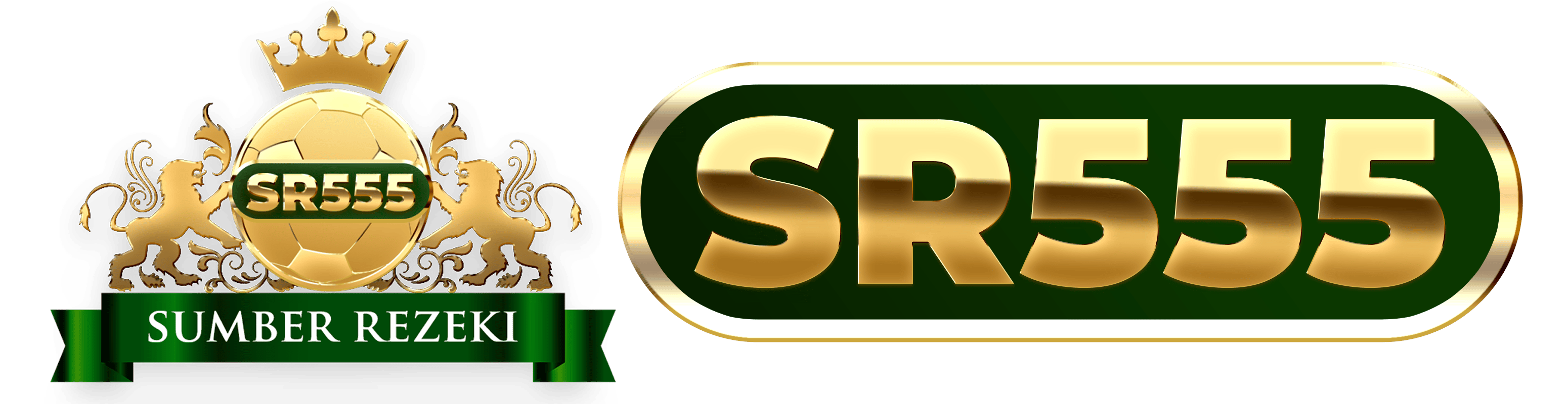 logo-SR555